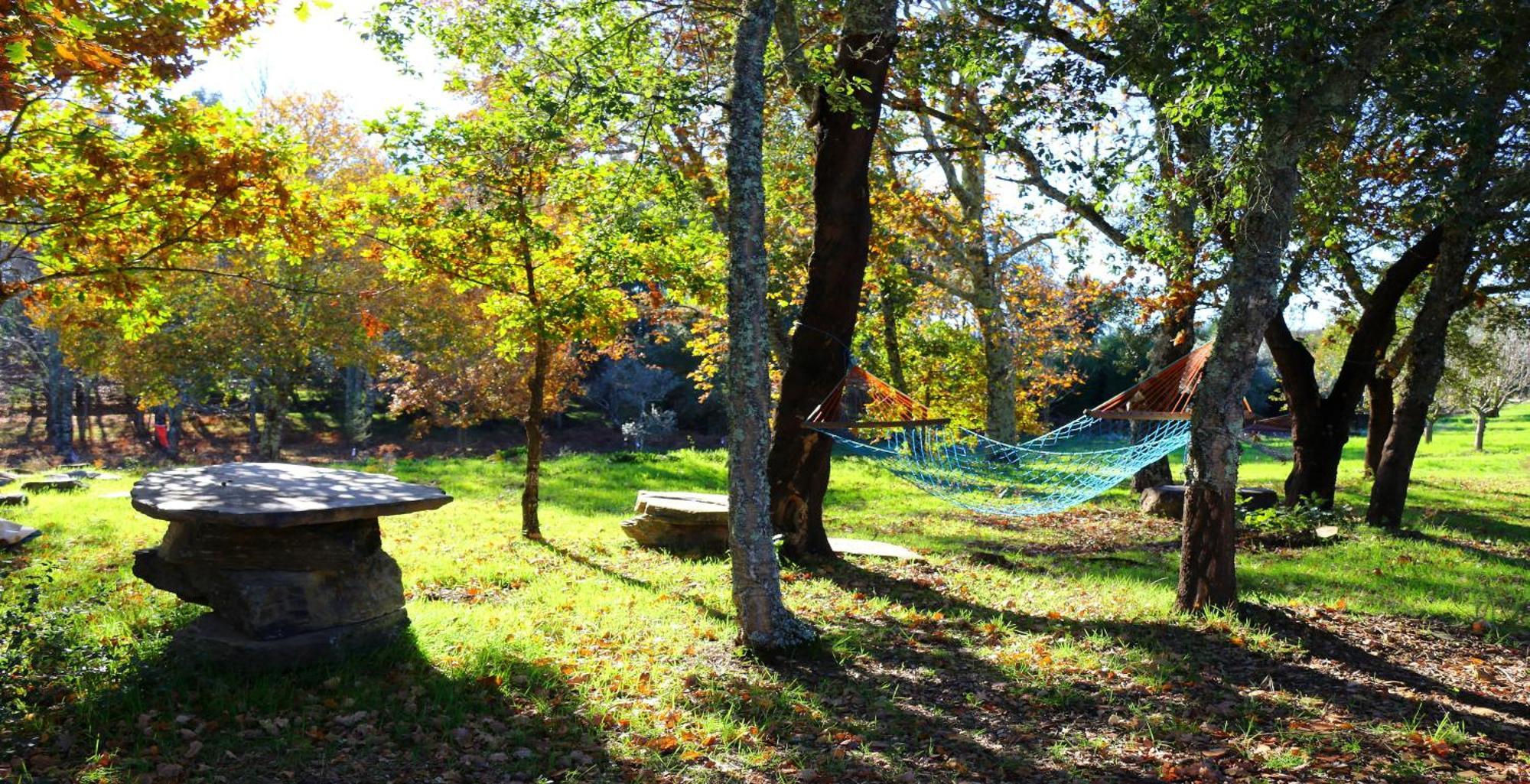 Casa Do Retiro Villa Pedrogao Grande Dış mekan fotoğraf